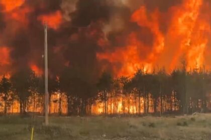 expect-hotter-than-usual-weather-this-summer-as-manitoba-battles-wildfire-season,-experts-say