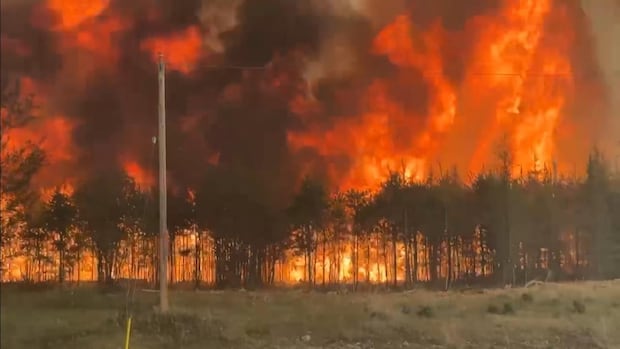 expect-hotter-than-usual-weather-this-summer-as-manitoba-battles-wildfire-season,-experts-say