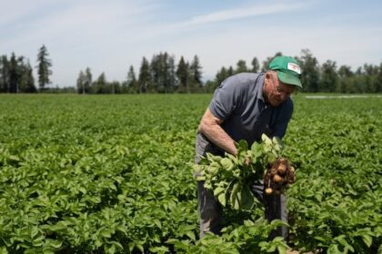 business-leaders-want-bc.-to-end-rule-they-say-hurts-farmers-and-makes-us-more-reliant-on-imported-food