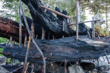 128-year-old-mystery-shipwreck-scorched-by-fire-on-vancouver-island