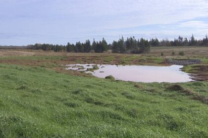 new-tool-helps-islanders-identify-wetlands-and-know-where-development-is-restricted