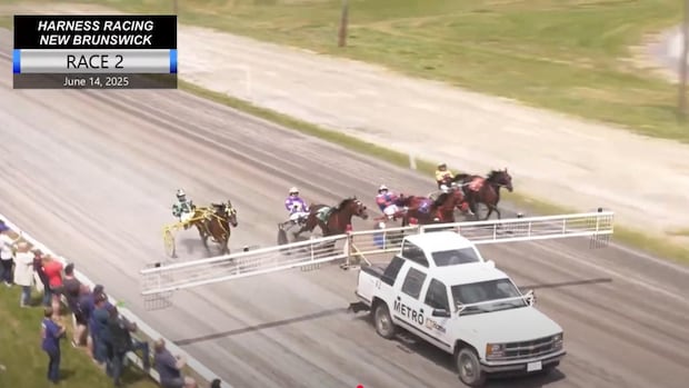 child-dies-following-accident-at-harness-racing-track-in-woodstock,-nb.