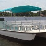 three-rivers-council-throws-support-behind-water-taxi-service-to-connect-communities
