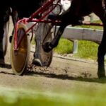 marc-campbell-records-four-driving-wins-on-charlottetown-harness-racing-program