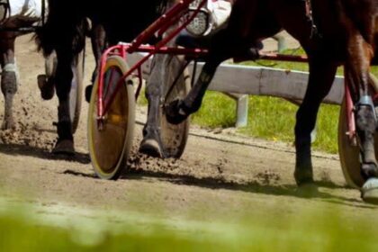 marc-campbell-records-four-driving-wins-on-charlottetown-harness-racing-program