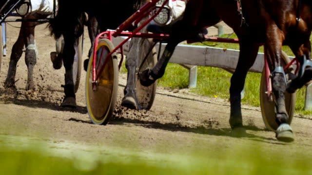 marc-campbell-records-four-driving-wins-on-charlottetown-harness-racing-program