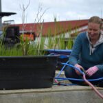 how-wetlands-can-provide-potential-benefits-to-canadian-dairy-farmers