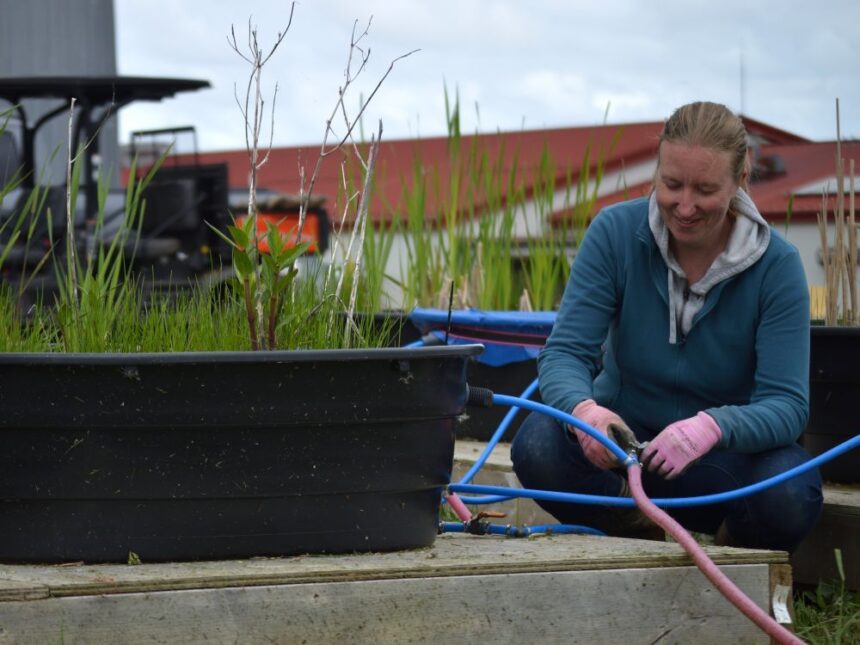 how-wetlands-can-provide-potential-benefits-to-canadian-dairy-farmers