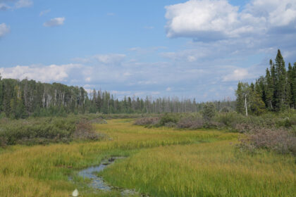 ring-of-fire-road-to-bring-prosperity-to-first-nation,-problems-for-caribou:-report