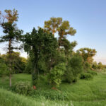 more-than-3k-children-died-over-half-century-at-winnipeg-orphanage
