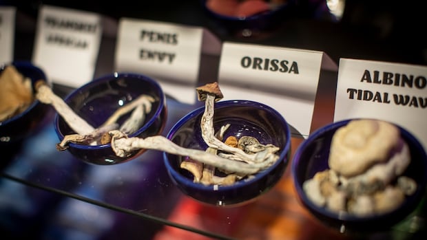 bc.-man-acquitted-of-sexual-assault-after-blaming-‘automatism’-on-magic-mushrooms