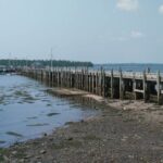 saint-andrews-property-owners-speak-out-against-wharf-refurbishment-plan