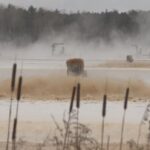 opposition-mlas-worry-ns.-government-is-shelving-environmental-racism-report