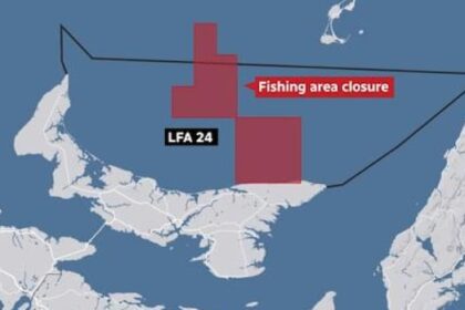 pei.-fishermen’s-association-monitoring-after-entangled-right-whale-prompts-fishing-restriction