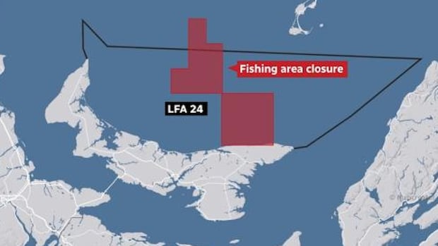 pei.-fishermen’s-association-monitoring-after-entangled-right-whale-prompts-fishing-restriction