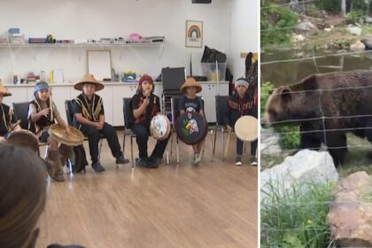 these-first-nations-kids-played-a-song-to-attract-grizzly-bears-and-it-worked