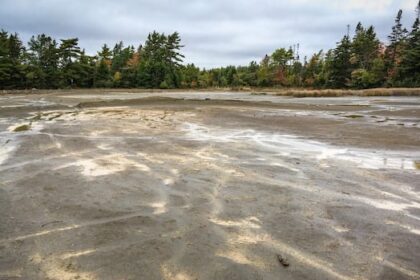work-to-clean-up-contaminated-former-gold-mine-site-to-begin-this-year