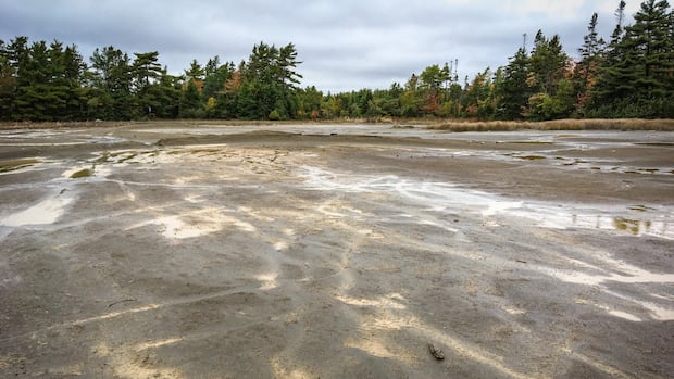 work-to-clean-up-contaminated-former-gold-mine-site-to-begin-this-year