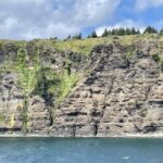 bell-island-residents-advised-area-surrounding-airstrip-reopened-after-artillery-shell-disposed-of