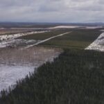 no-decision-about-us,-without-us,-say-forestry-companies