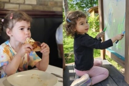 missing-quebec-toddler-found-alive-in-ontario