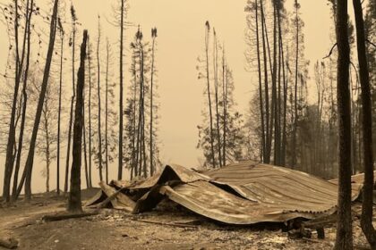 more-than-2-dozen-cottages,-homes-burned-to-the-ground-in-manitoba’s-burge-lake-provincial-park