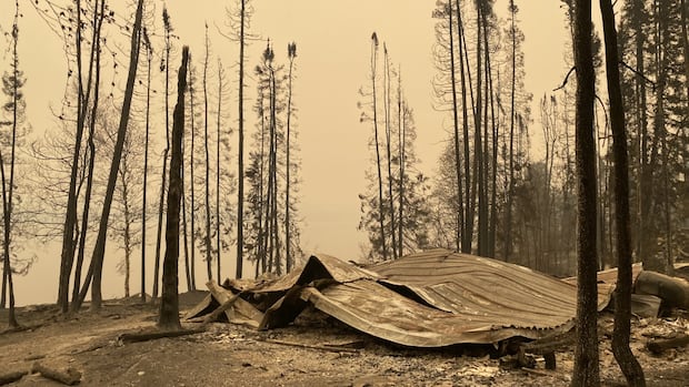 more-than-2-dozen-cottages,-homes-burned-to-the-ground-in-manitoba’s-burge-lake-provincial-park