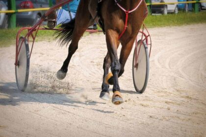 harness-racing:-mr-kelly-cruises-in-summerside-feature