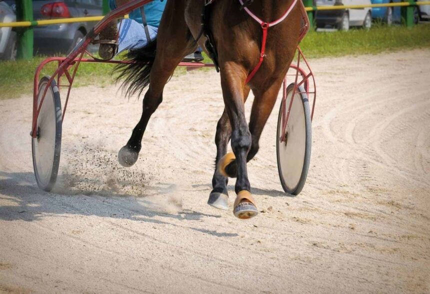 harness-racing:-mr-kelly-cruises-in-summerside-feature