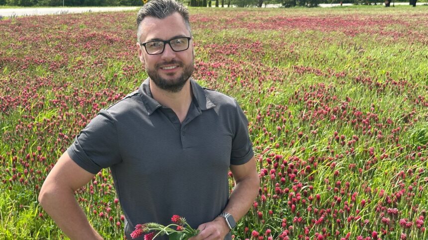 deep-red-field-turns-heads:-crimson-clover-is-a-colourful-soil-builder-for-this-pei.-potato-farm