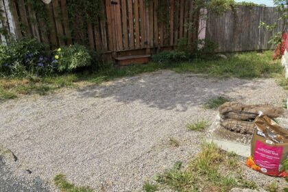 a-path-forward:-st.-johns-votes-against-the-sale-of-historic-pedestrian-footpath