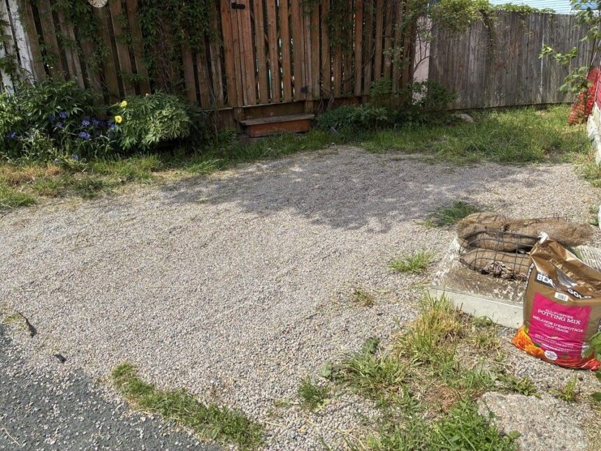 a-path-forward:-st.-johns-votes-against-the-sale-of-historic-pedestrian-footpath