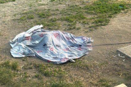 cop-kills-familys-dog-on-first-nation
