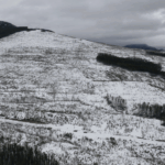 trouble-in-the-headwaters:-the-hidden-impacts-of-clear-cut-logging-in-bc.