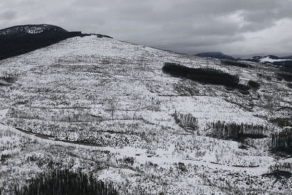 trouble-in-the-headwaters:-the-hidden-impacts-of-clear-cut-logging-in-bc.