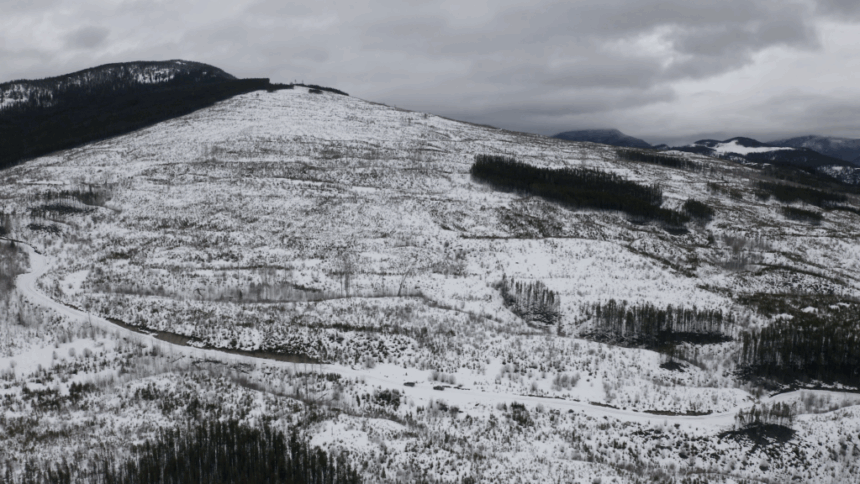 trouble-in-the-headwaters:-the-hidden-impacts-of-clear-cut-logging-in-bc.