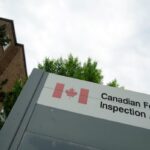 case-of-rare-disease-uncovered-at-bc.-commercial-pigeon-operation,-says-cfia
