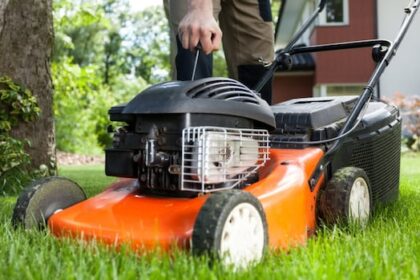 winnipeggers-warned-to-keep-their-grass-short-or-face-fines