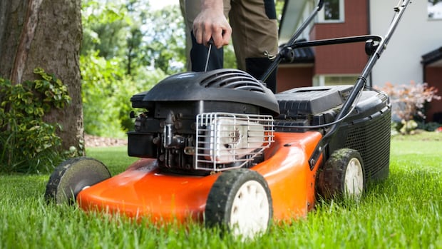 winnipeggers-warned-to-keep-their-grass-short-or-face-fines