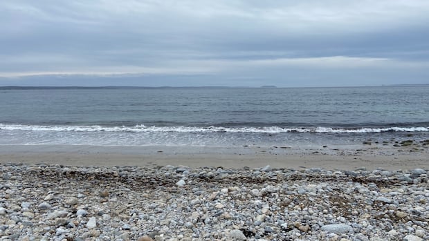 phytoplankton,-key-to-ocean-life,-falling-2%-per-year-in-north-atlantic
