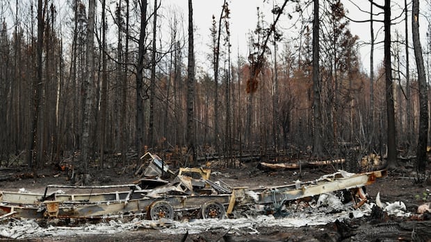 after-the-firestorm:-loss-and-hope-in-saskatchewan’s-scorched-north