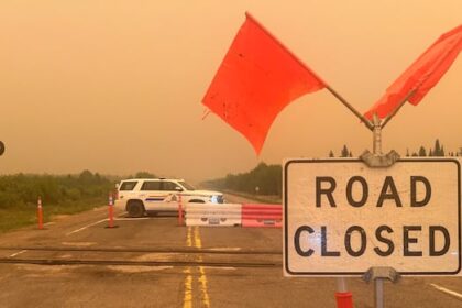 my-family-and-i-had-to-leave-our-home-due-to-wildfires.-here’s-a-photo-diary-of-what-happened-next