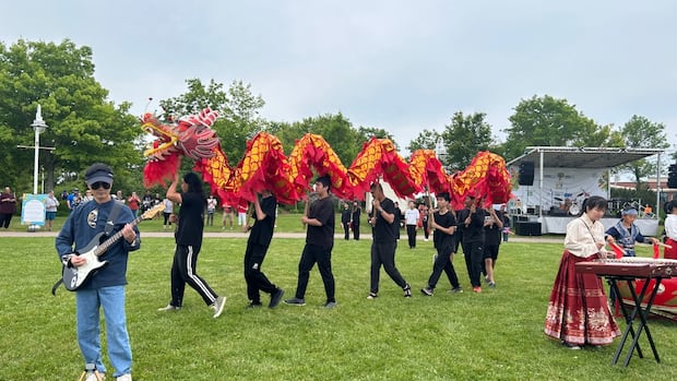 diversecity-festival-kicks-off-busy-summer-with-event-in-charlottetown