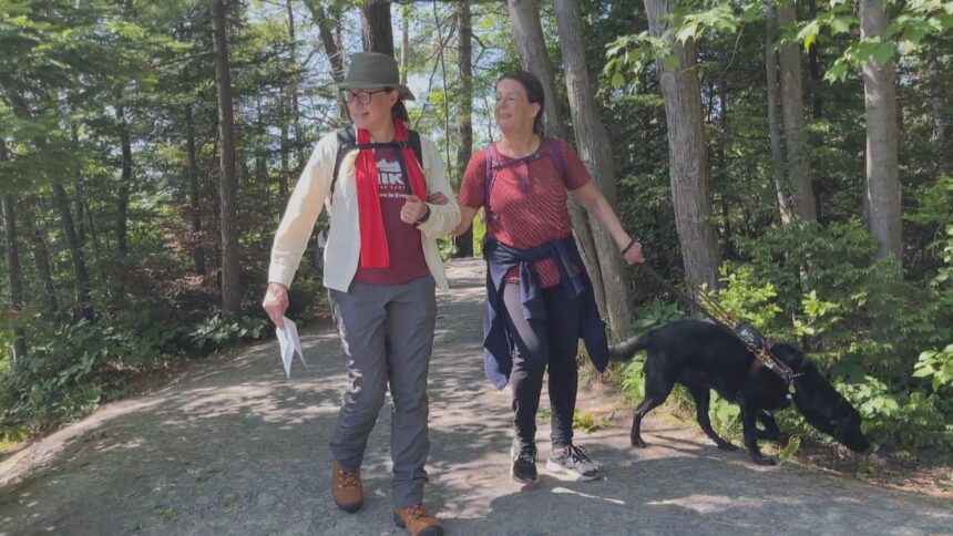 halifax-hikers-get-crash-course-in-assisting-blind-and-partially-sighted-hikers