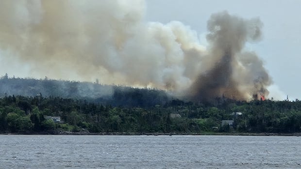some-evacuees-heading-home-as-forest-fire-on-eastern-shore-slows