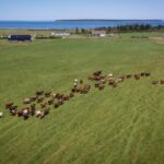 free-holland-college-course-aims-to-help-farmers-cut-energy-costs,-fight-climate-change