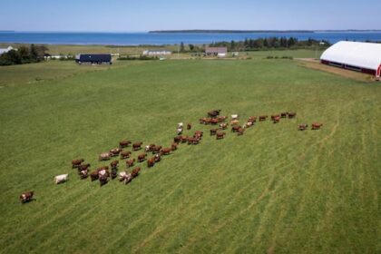 free-holland-college-course-aims-to-help-farmers-cut-energy-costs,-fight-climate-change