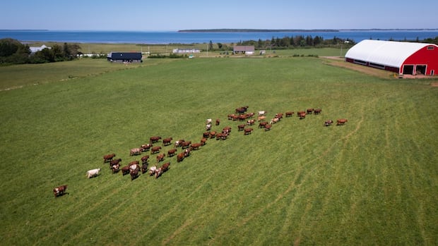 free-holland-college-course-aims-to-help-farmers-cut-energy-costs,-fight-climate-change