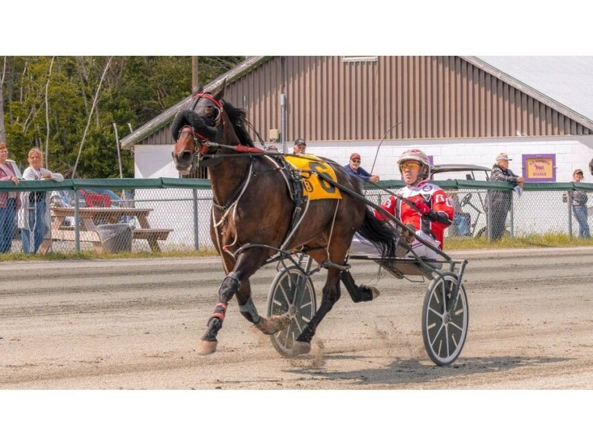 hugh-heff-extends-undefeated-streak-to-seven-at-cape-bretons-northside-downs