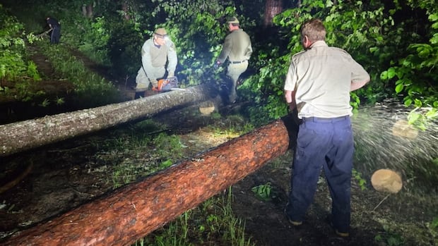rescuers-saw,-paddle-their-way-to-badly-hurt-boy-in-algonquin-park